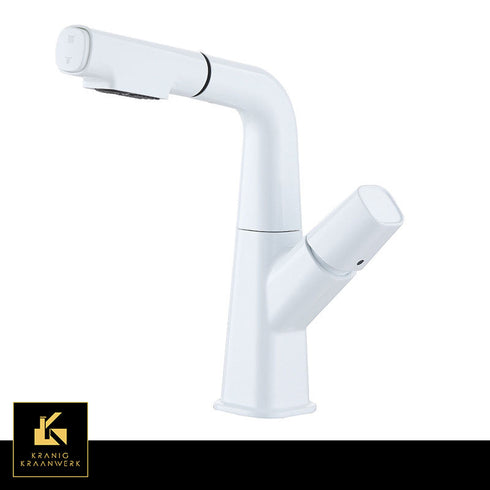 Multifunctionele kraan met drukknop | Kraan met Uitschuifbaar | Uittrekbare slang | Babette