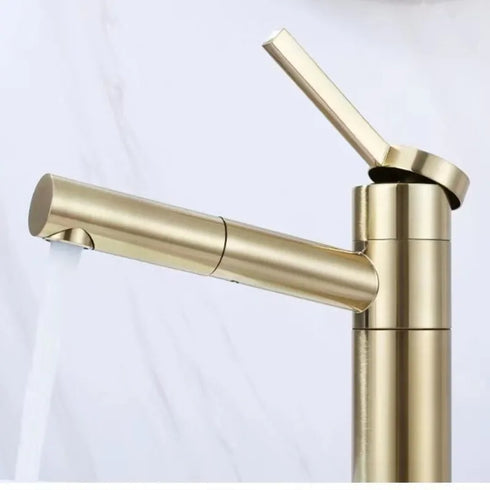 Boetiek en Salonkraan | Uittrek slang | Kapperskraan | Lotte II