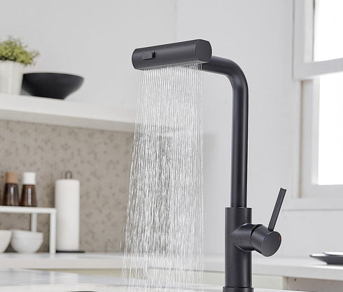 Kapperskraan | Salonkraan | Wastafel of Keukenkraan | Uittrekbare slang | In hoogte verstelbaar | Myrjan the one