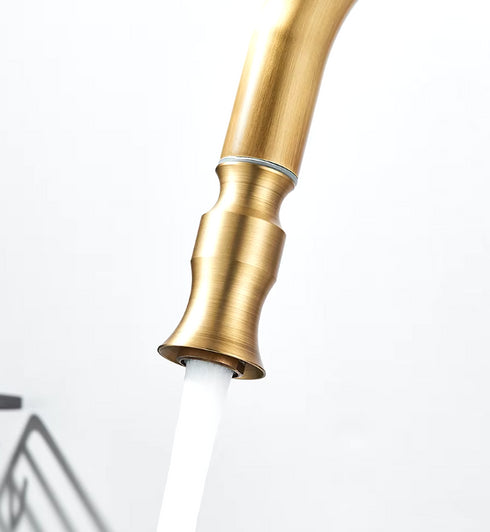 Landelijk én Industrieel | Mengkraan | Uittrek slang | Veronica | Oud Goud en Zwart